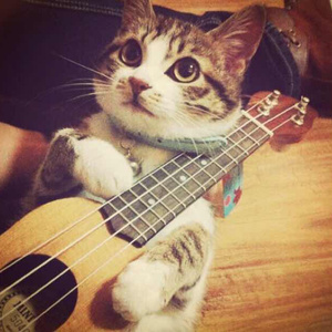 初中少女巨乳凸起图片
