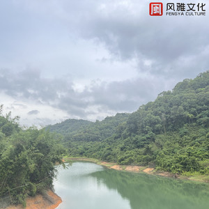 初中少女巨乳凸起图片
